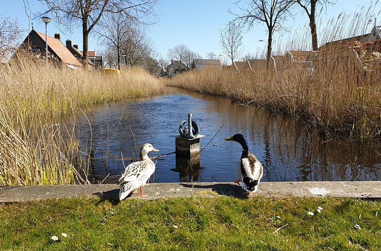 Vakantiehuisje in Oudesluis