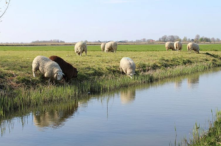 Vakantiehuis in Schagen