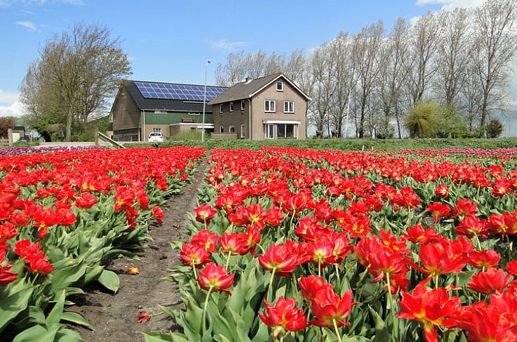 Vakantiehuis in Schagen