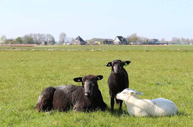 Vakantiehuis in Schagen