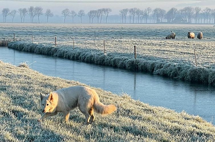 Vakantiehuisje in Zuidoostbeemster