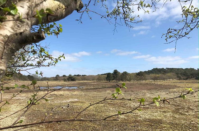 Sfeervolle 4 persoons chalet in Schoorl, vlakbij het strand