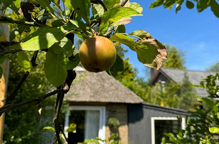 Vakantiehuisje in Schoorl