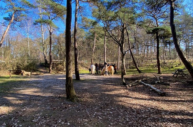 Vakantiehuisje in Schoorl