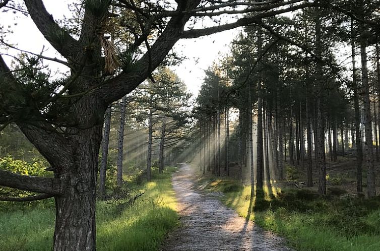 Vakantiehuis in Schoorl