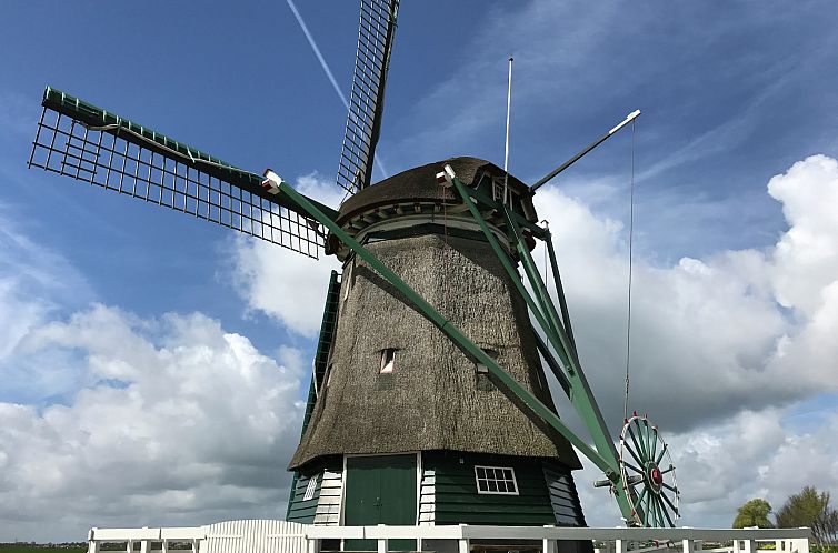 Onder de Molen 24 pers