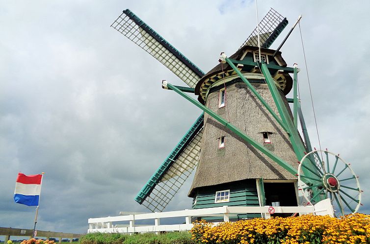 Onder de Molen 24 pers