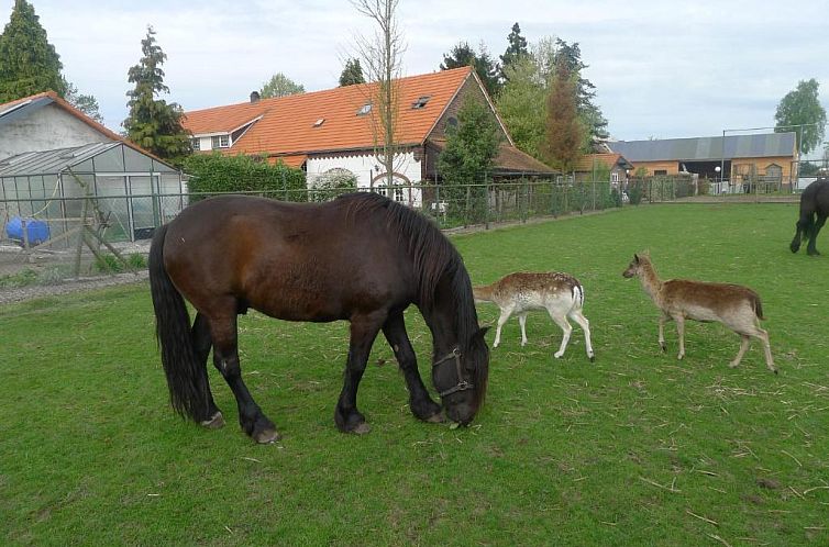 B&B De Kleine Wijngaard