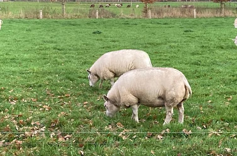 Vakantiehuisje in Den Ham