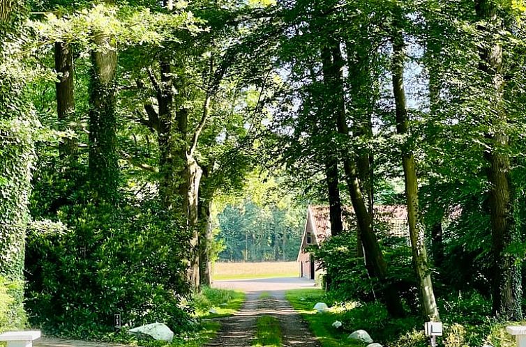 Huisje in de Lutte