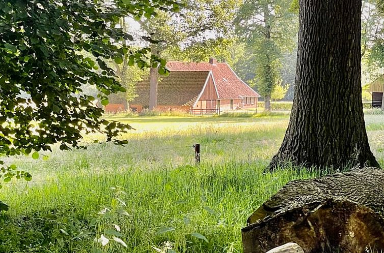 Huisje in de Lutte