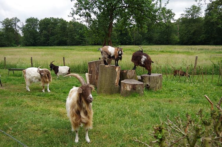 Vakantiehuisje in Ambt Delden