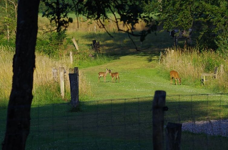 Vakantiehuisje in Ambt Delden