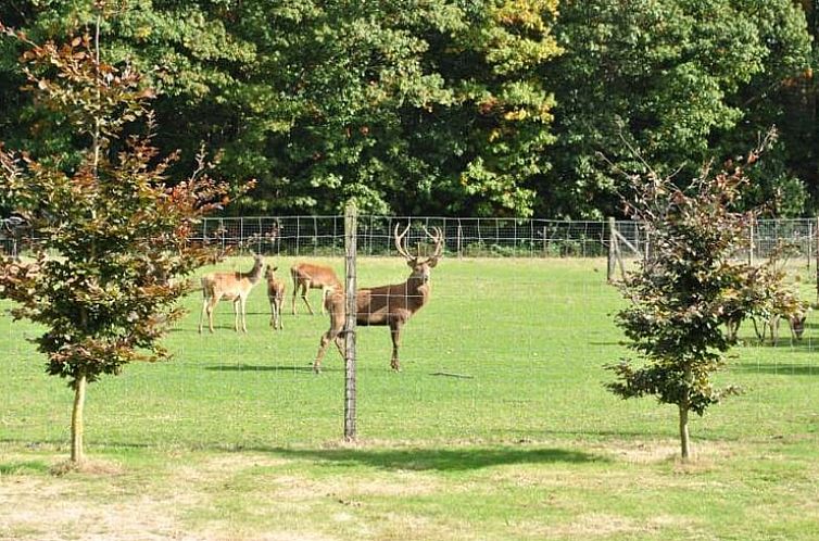 Vakantiehuis in Ambt Delden