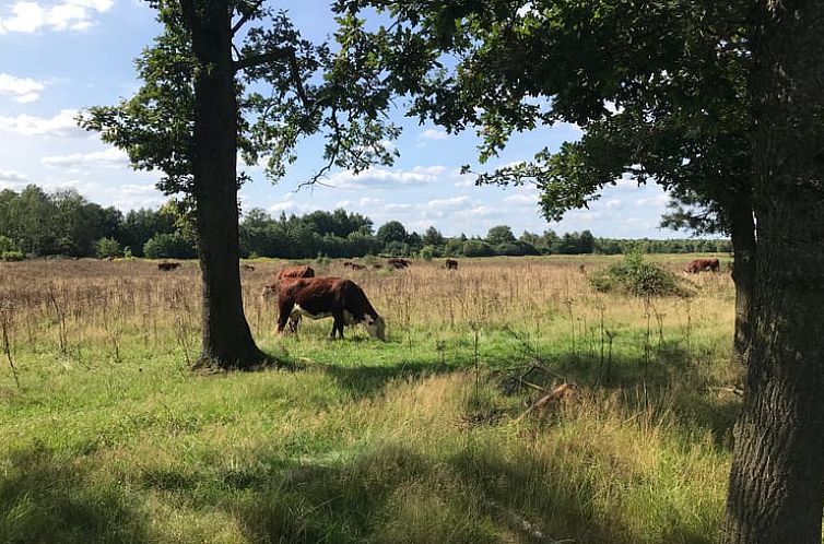 Vakantiehuis in Markelo