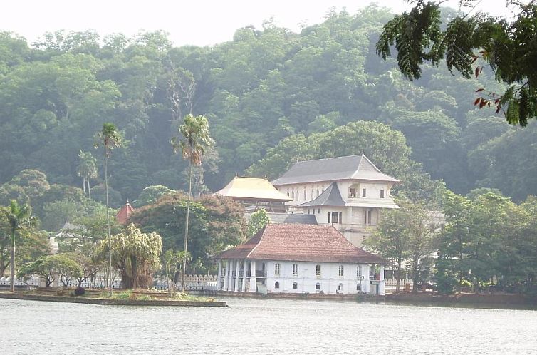 Strathisla Tea Estate Bungalow