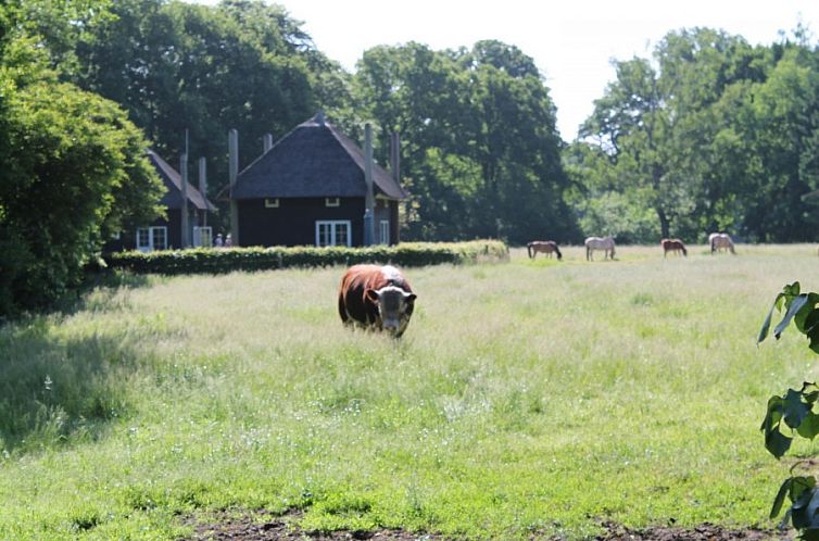 De Klaproos met Hottub