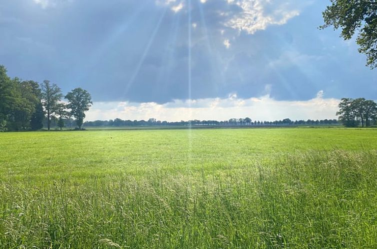 Vakantiehuisje in Daarle