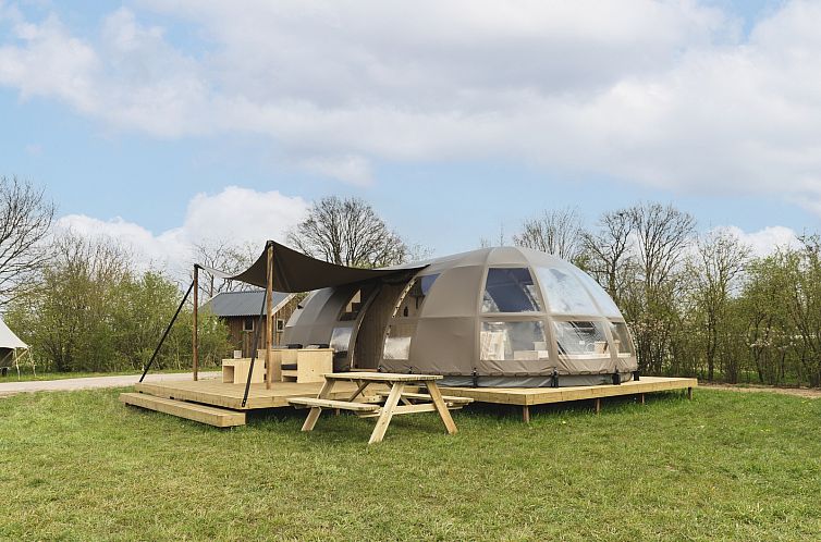 Groepsaccommodatie (6x luxe glampingtent) I 28 personen