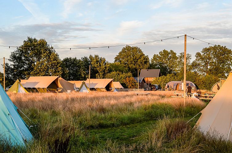 Pop-up glamping: Buurman's Awajitentje | 2-4 personen