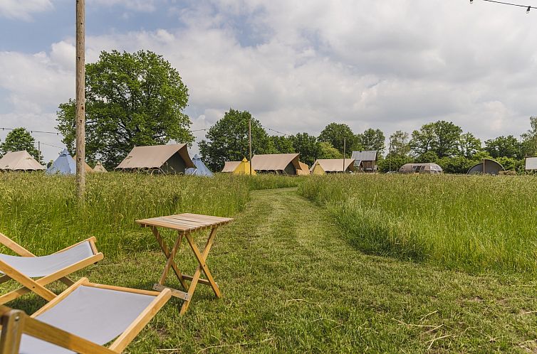 Pop-up glamping: Buurman's Awajitentje | 2-4 personen