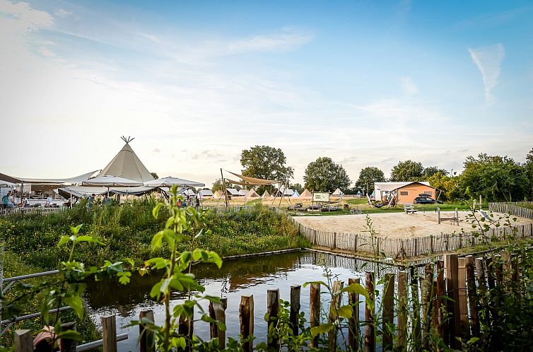 Pop-up glamping: Buurman's Awajitentje | 2-4 personen