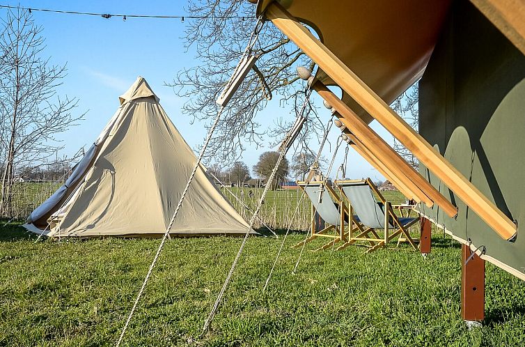 Pop-up glamping: Buurman's Awajitentje | 2-4 personen