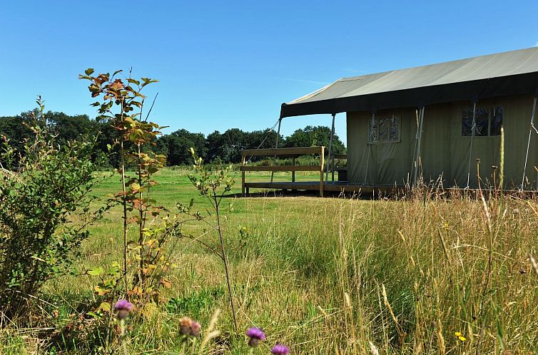 Twentse Buitenleven - Familie lodgetent - luxe kamperen