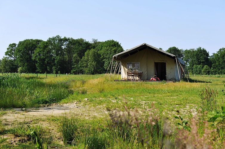 Twentse Buitenleven - Familie lodgetent - luxe kamperen