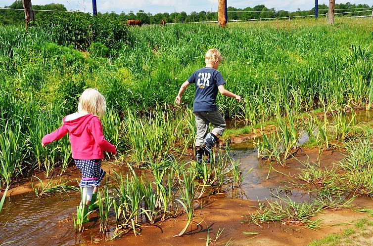 Twentse Buitenleven - Familie lodgetent - luxe kamperen