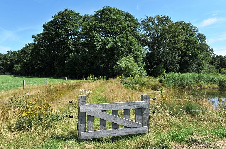 Twentse Buitenleven - Twin Lodgetent - romantisch kamperen