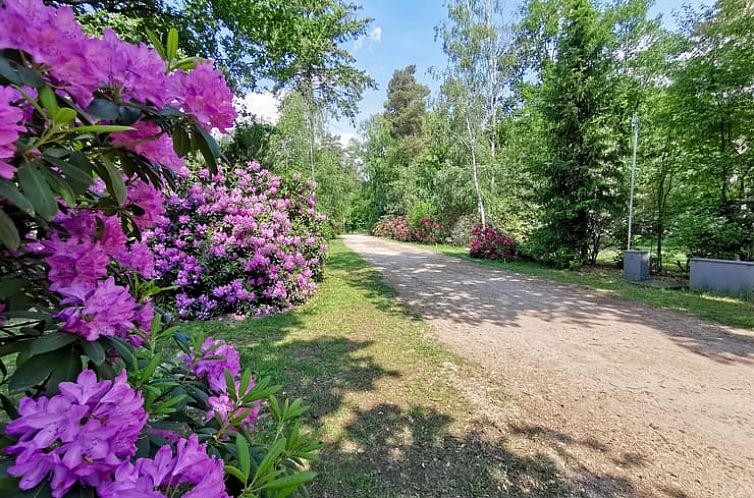 Vakantiehuisje in Holten