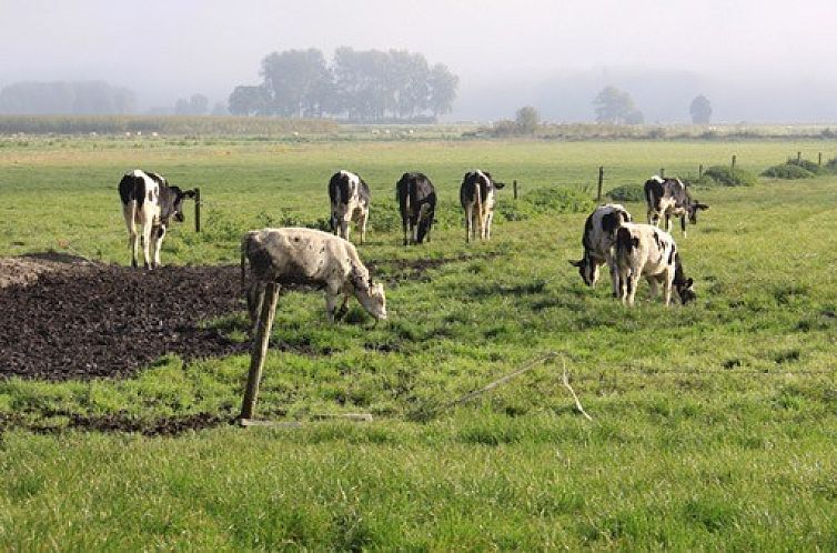 boerderijhuisje.nl