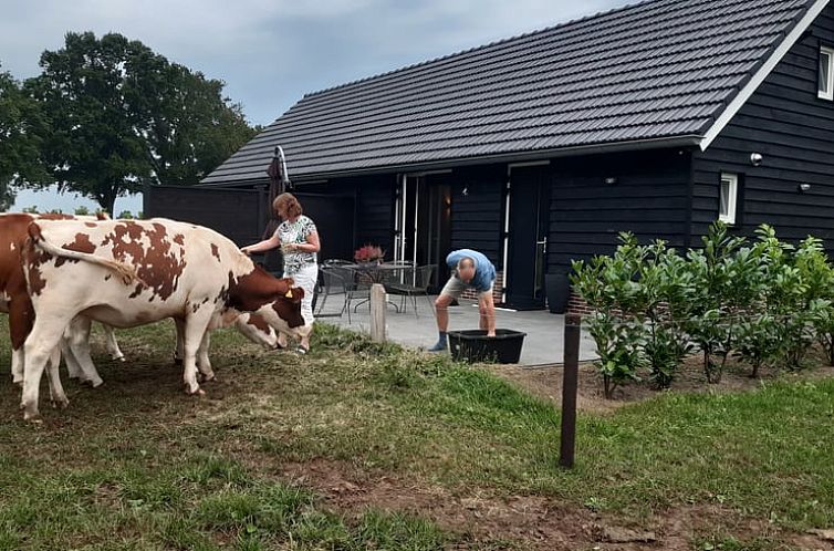 Huisje in Olst