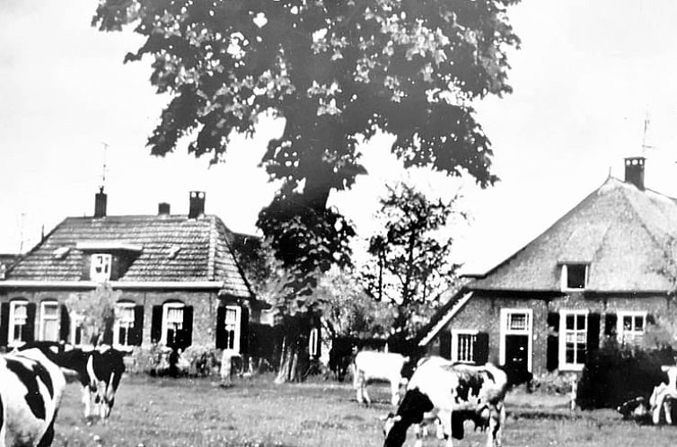 Vakantiehuisje in Nieuwleusen