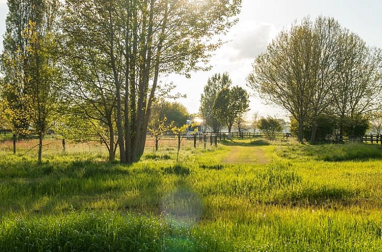 Vakantiehuisje in Nieuwleusen