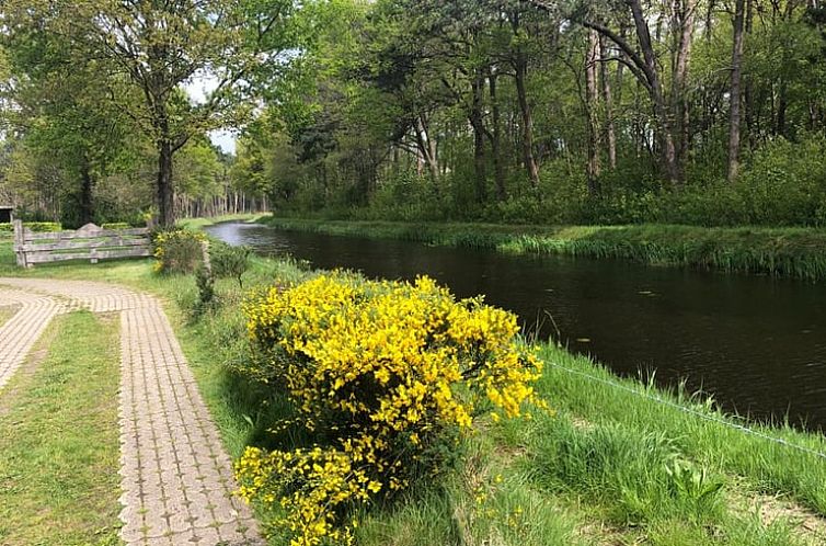 Huisje in Ommen