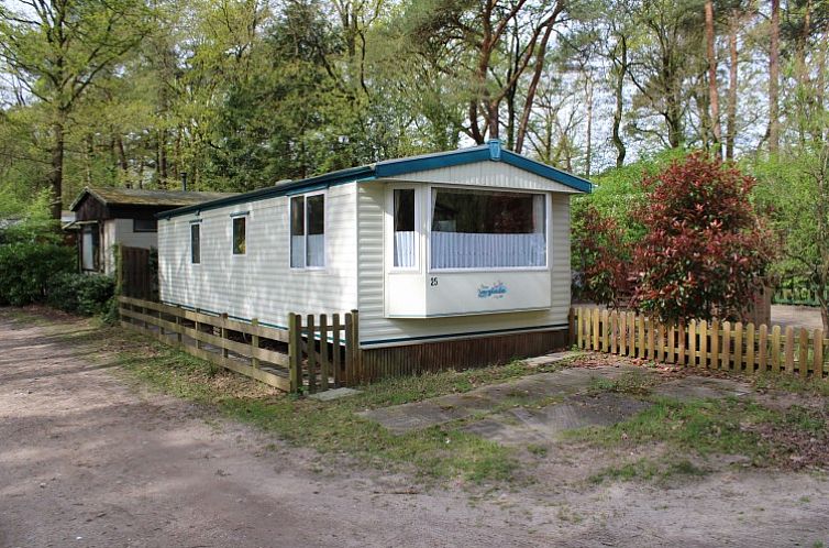 Vintage Forest Chalet 