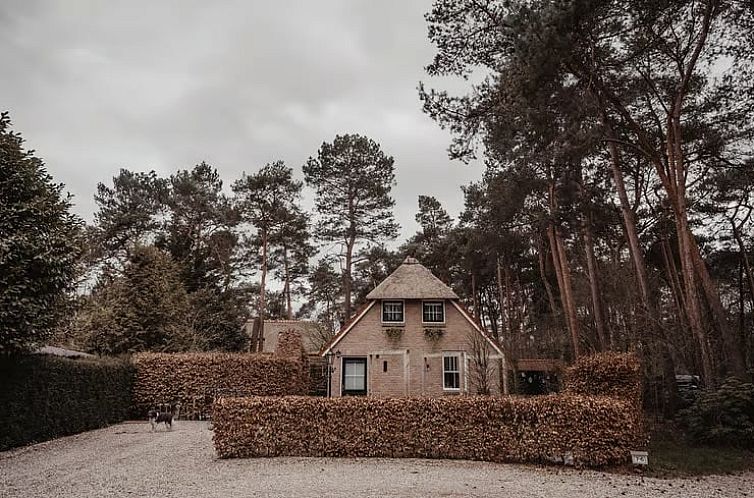 Vakantiehuisje in Beerze