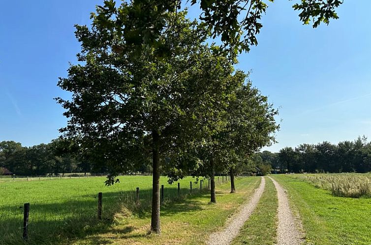 Vakantiehuisje in Dalfsen