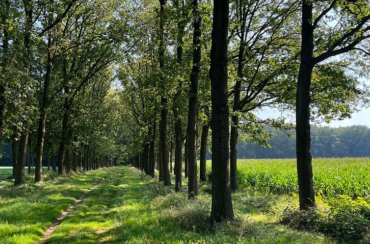 Vakantiehuisje in Dalfsen