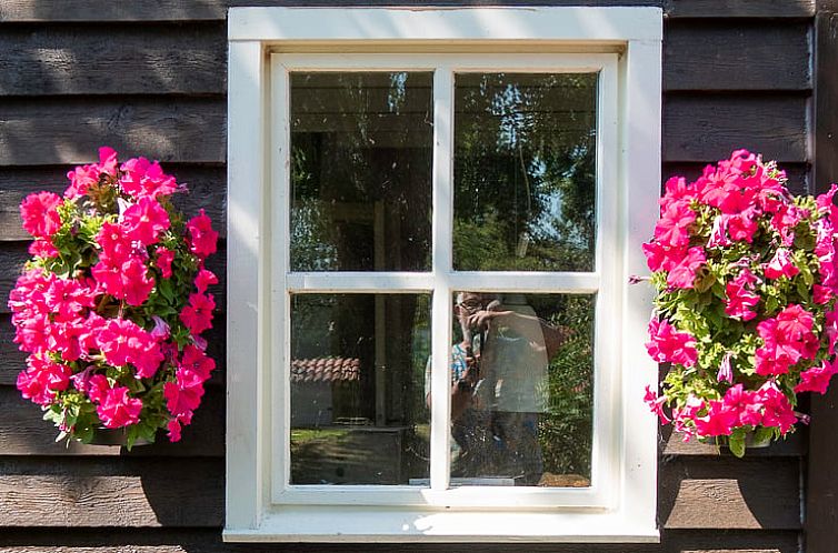 Vakantiehuisje in Balkbrug