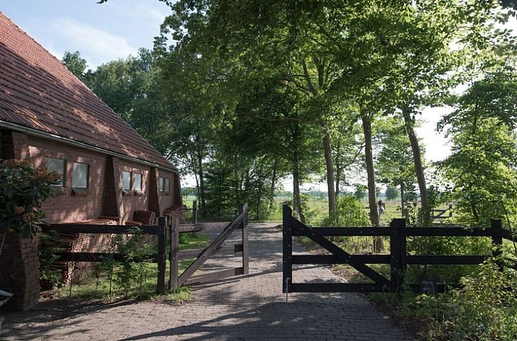 Huisje in Balkbrug