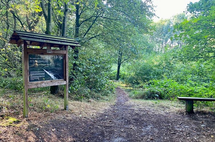 Vakantiehuisje in Radewijk