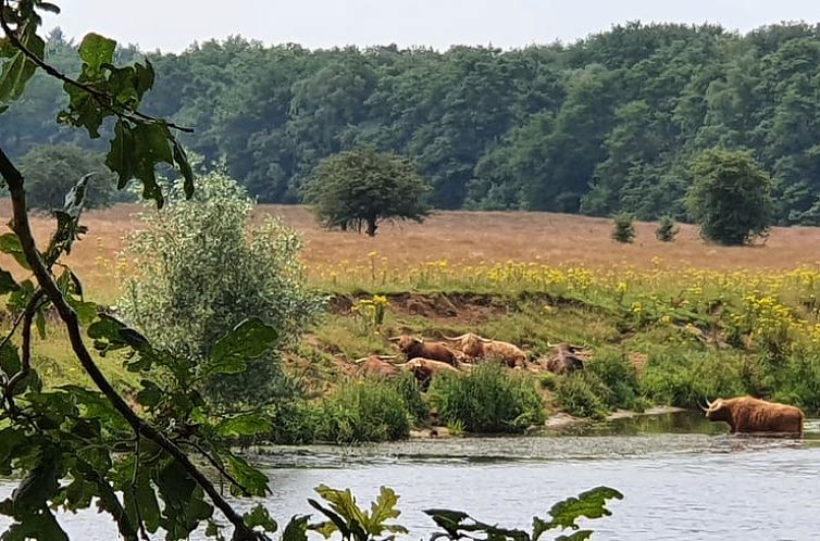 Huisje in Stegeren