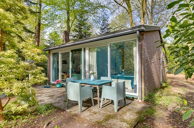 Vakantiehuis in Stegeren