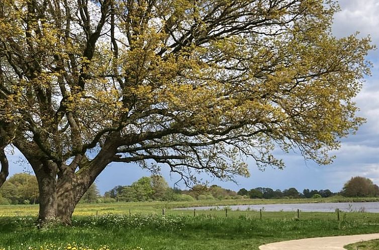 Vakantiehuis in Stegeren