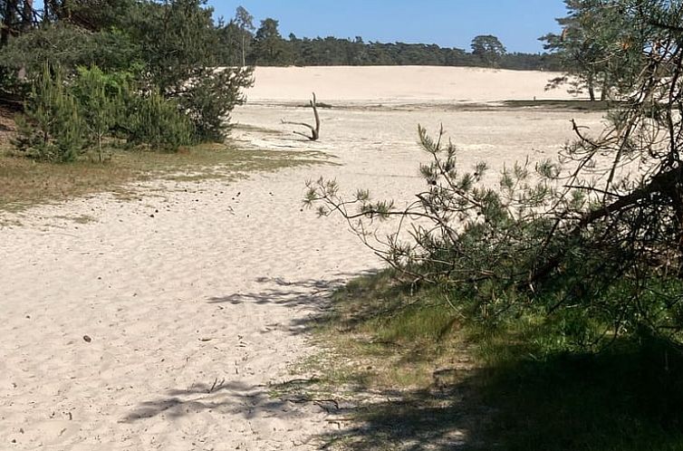 Vakantiehuis in Stegeren