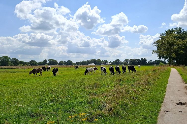 2 persoons vakantiehuis bij een boerderij in Beerzerveld