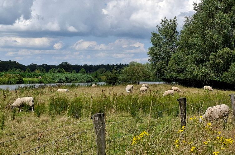 2 persoons vakantiehuis bij een boerderij in Beerzerveld